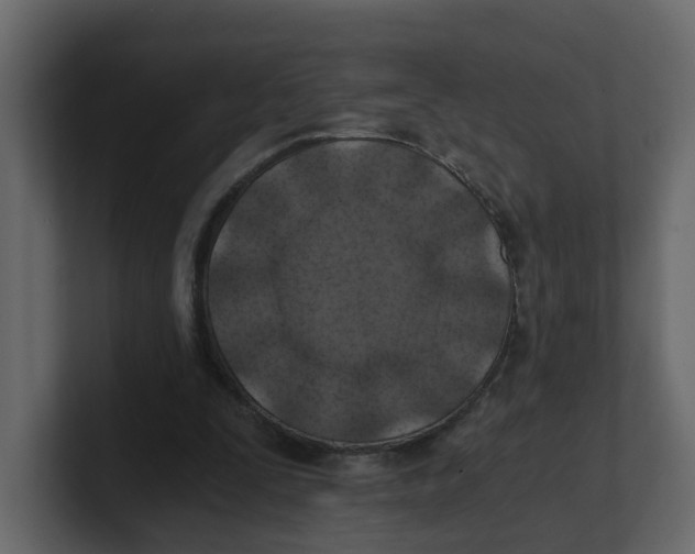 X0000100900295200807151123