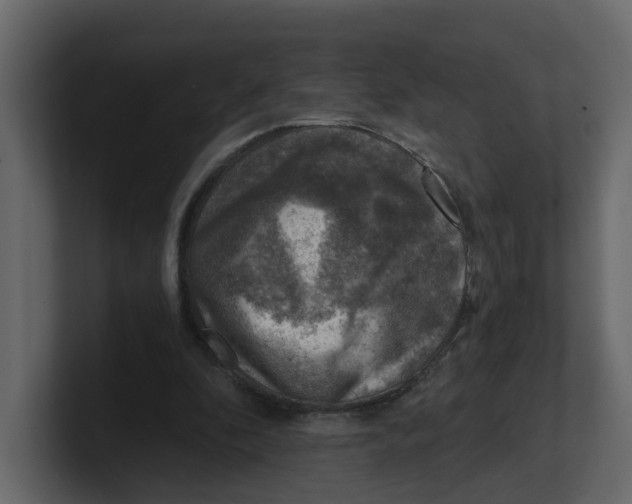 X0000100900296200807151123