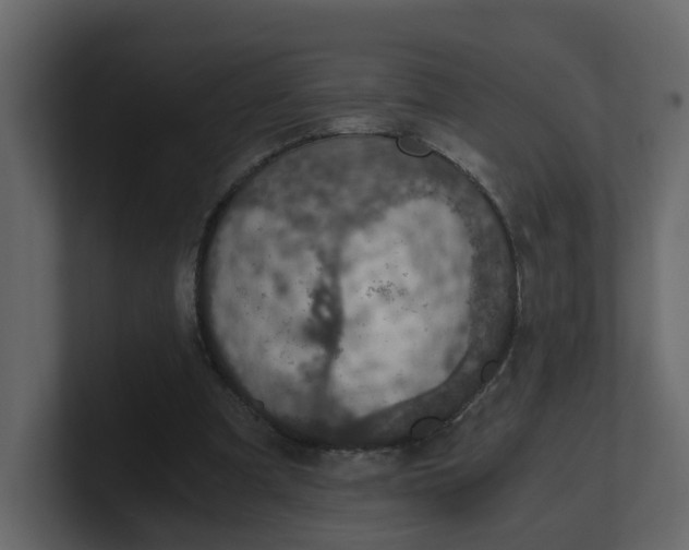 X0000100900297200807151123