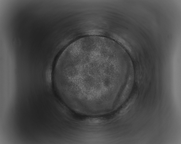 X0000100900299200807151123