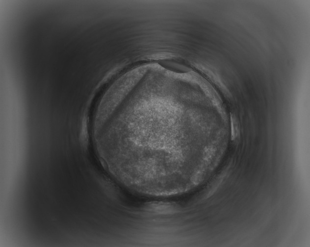 X0000100900300200807151123