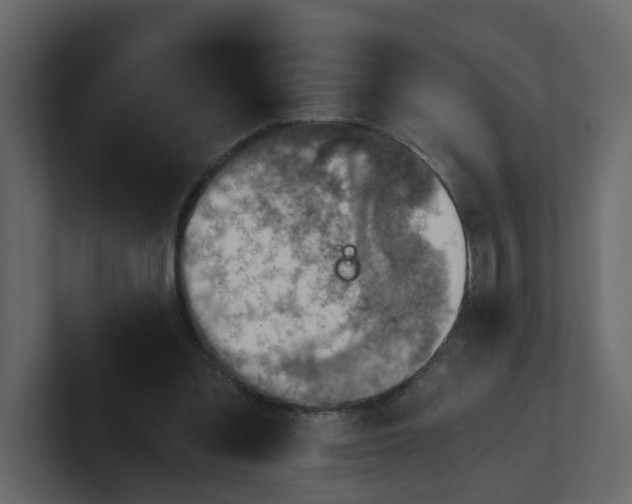 X0000100900301200807151123