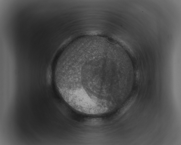 X0000100900304200807151123