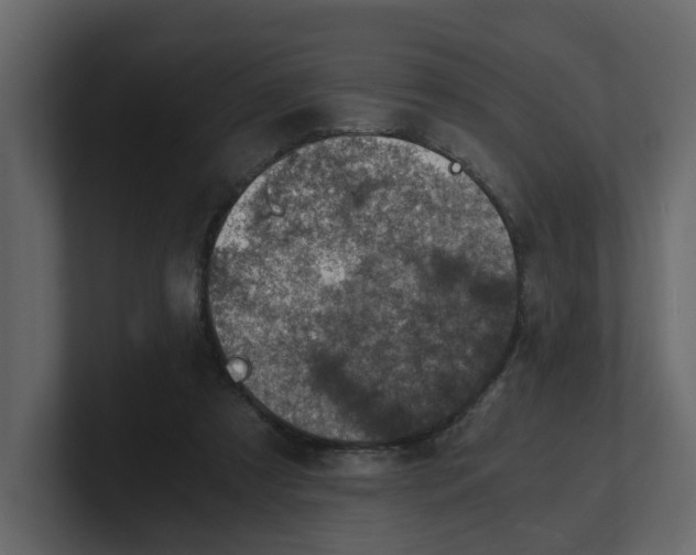 X0000100900305200807151123