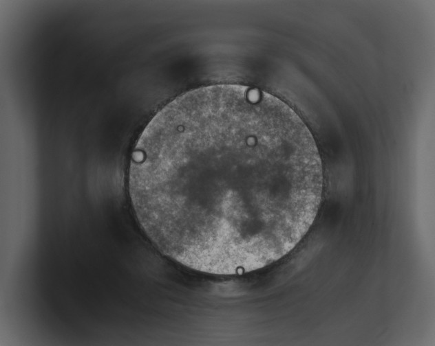 X0000100900309200807151123