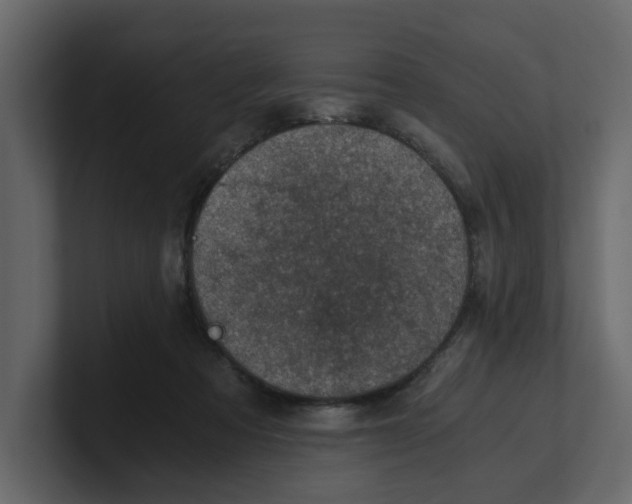 X0000100900313200807151123