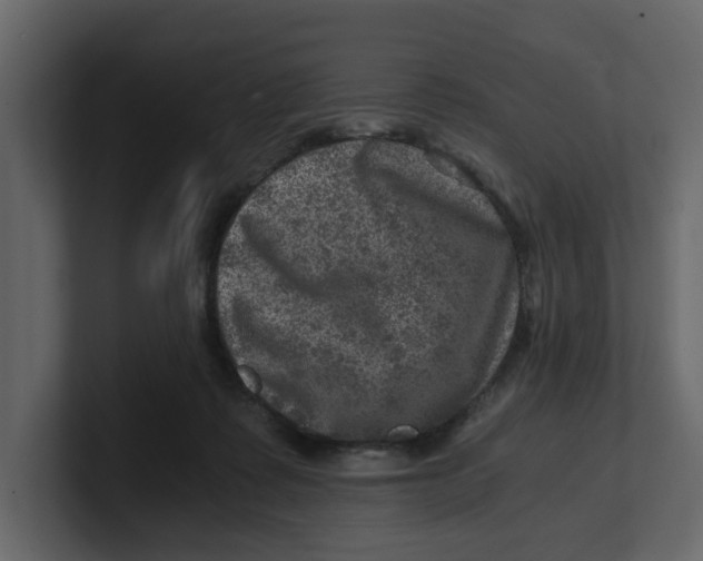 X0000100900315200807151123