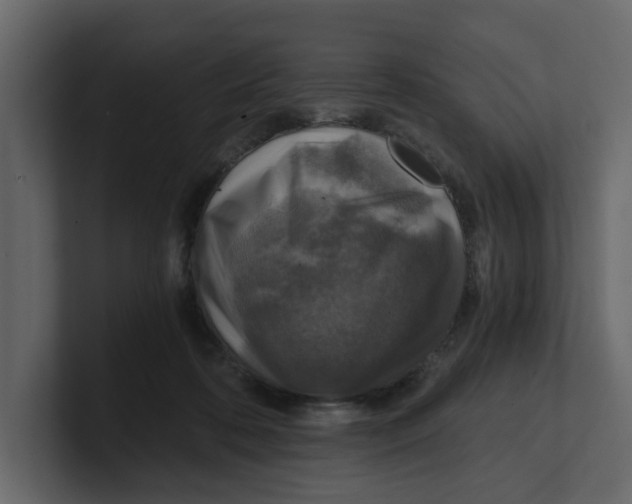 X0000100900316200807151123