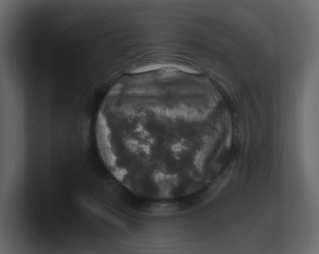 X0000100900319200807151123