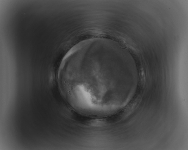 X0000100900320200807151123