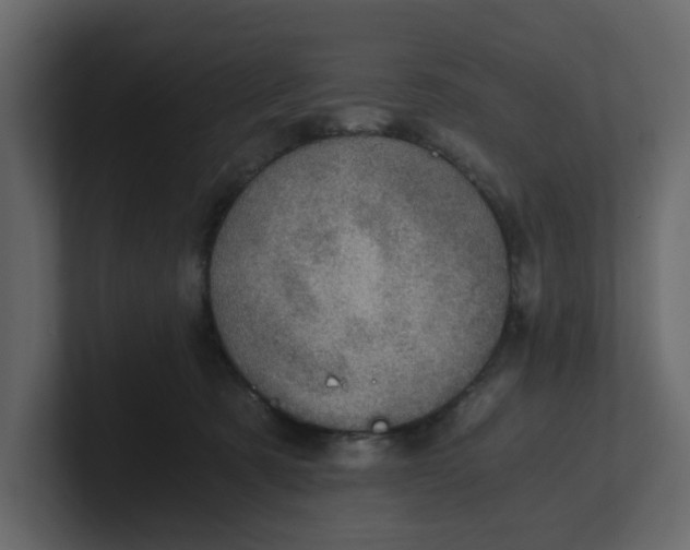 X0000100900321200807151123