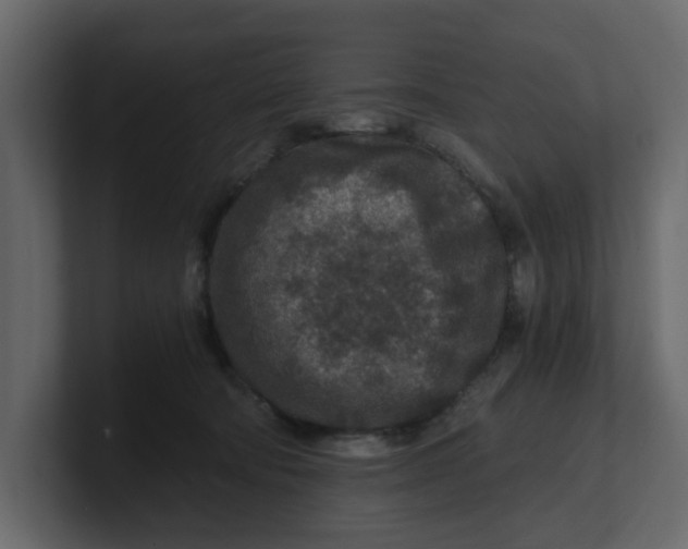 X0000100900322200807151123