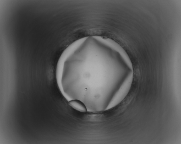 X0000100900323200807151123