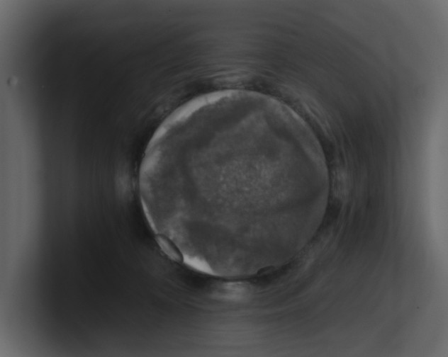 X0000100900324200807151123