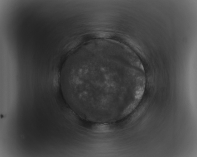 X0000100900325200807151123