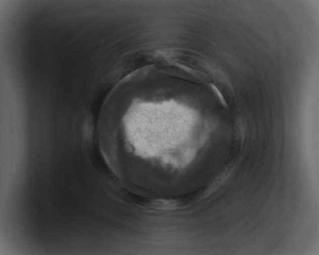 X0000100900328200807151123