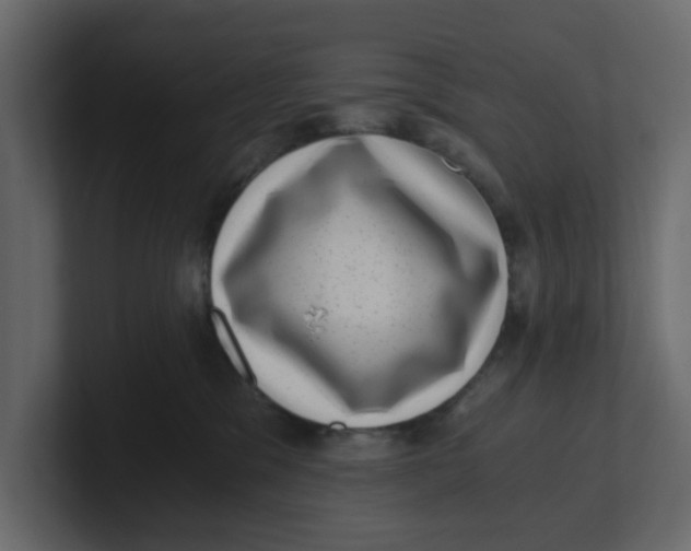 X0000100900329200807151123