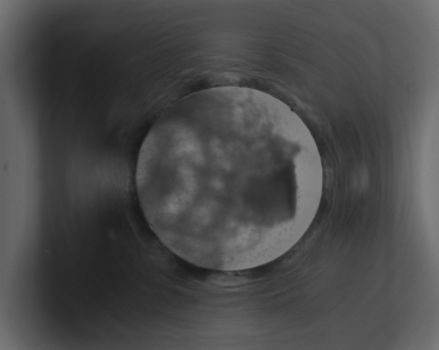 X0000100900331200807151123