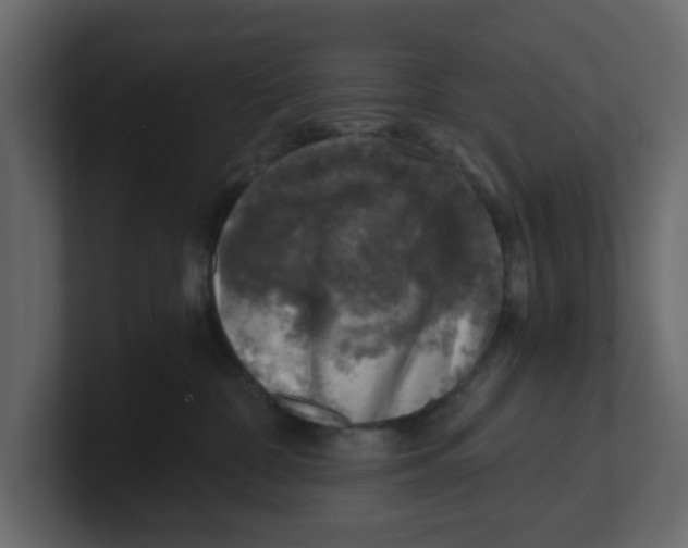 X0000100900332200807151123