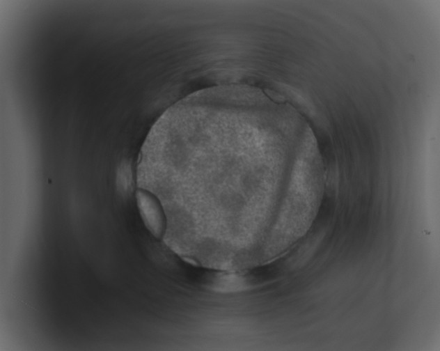 X0000100900335200807151123