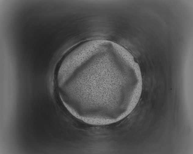 X0000100900338200807151122