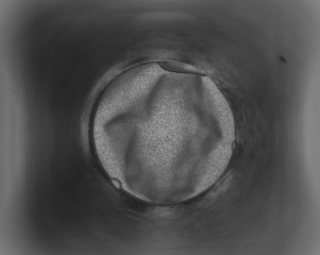 X0000100900341200807151122