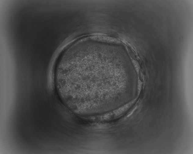 X0000100900343200807151122