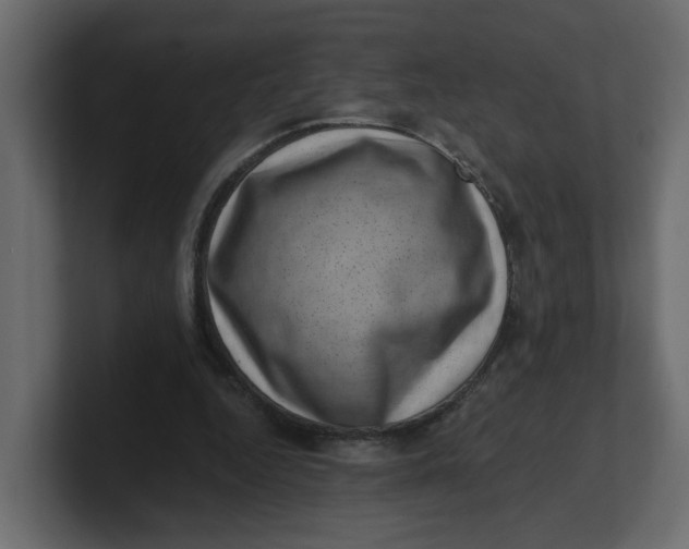 X0000100900344200807151122