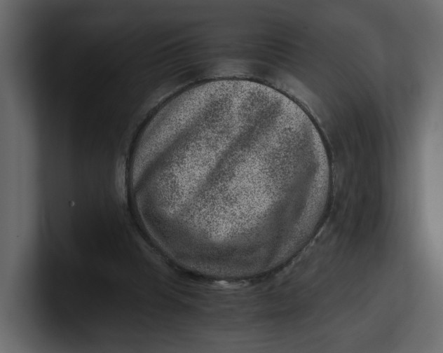 X0000100900345200807151122