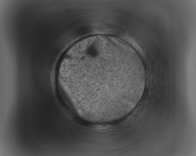 X0000100900346200807151122