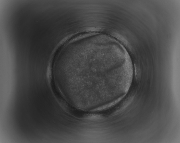 X0000100900348200807151122