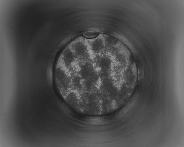 X0000100900349200807151122