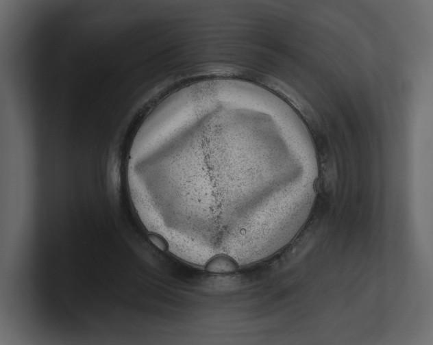 X0000100900350200807151122