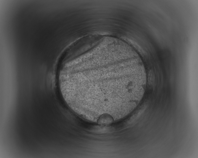 X0000100900351200807151122