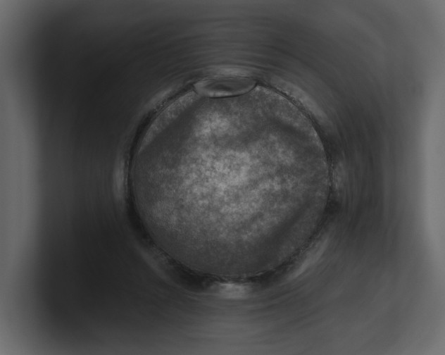 X0000100900352200807151122