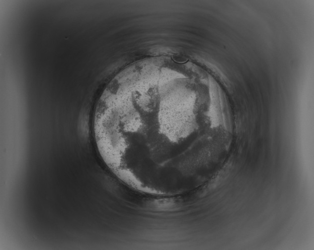 X0000100900353200807151122