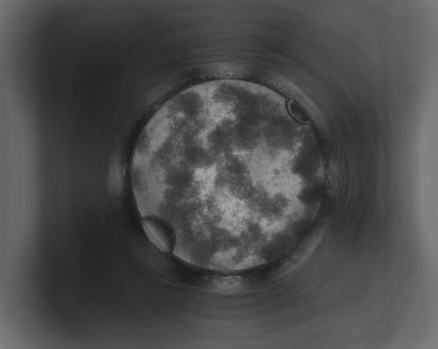 X0000100900355200807151122