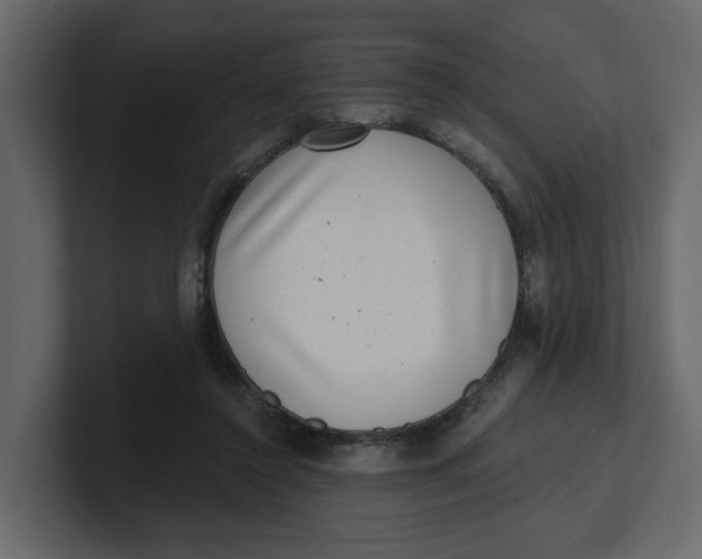 X0000100900356200807151122