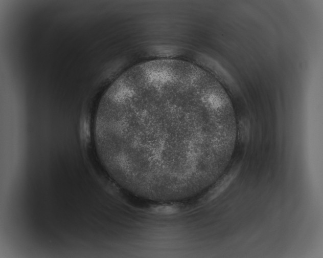 X0000100900358200807151122