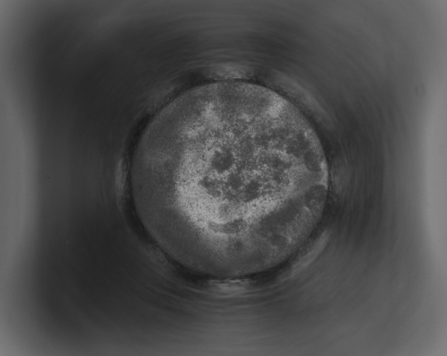 X0000100900359200807151122