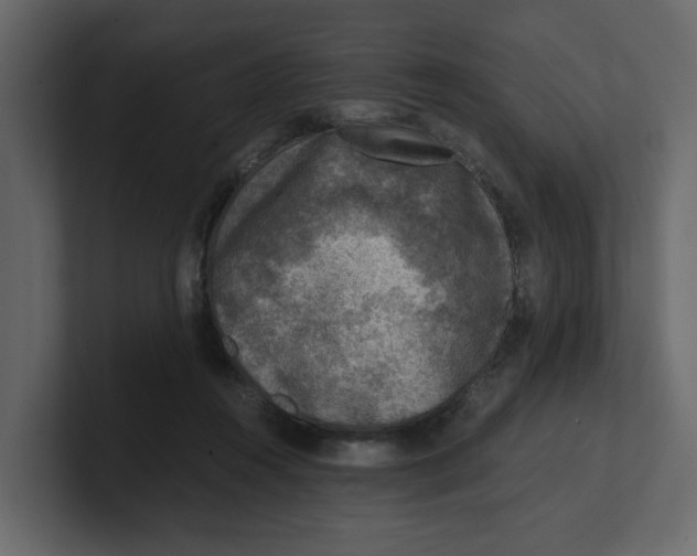 X0000100900360200807151122