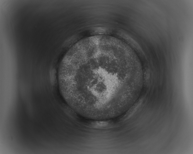 X0000100900361200807151122