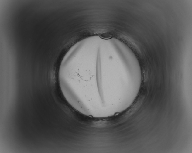 X0000100900362200807151122