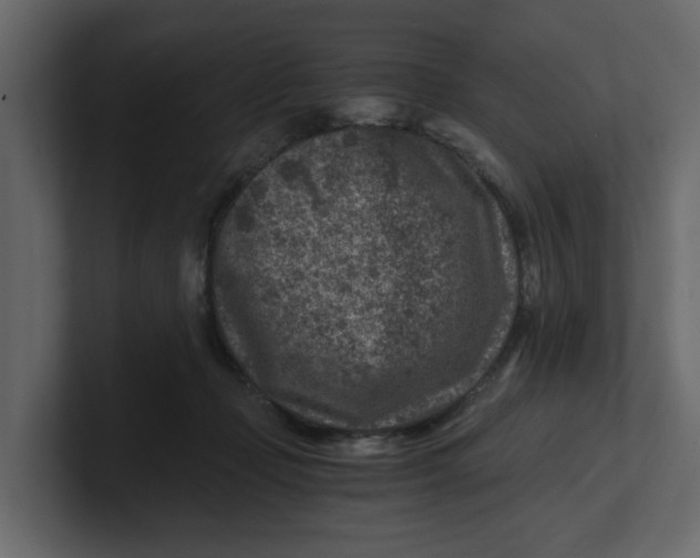 X0000100900365200807151123