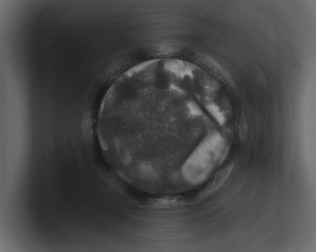 X0000100900366200807151123