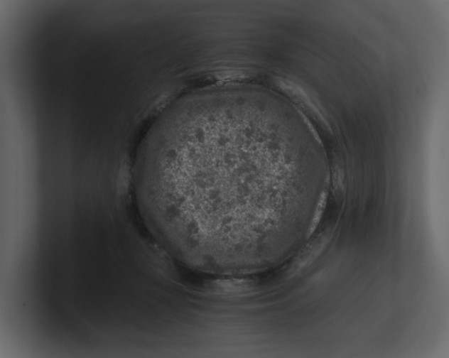 X0000100900367200807151123