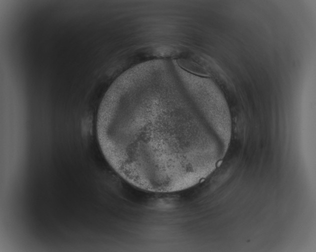 X0000100900368200807151123