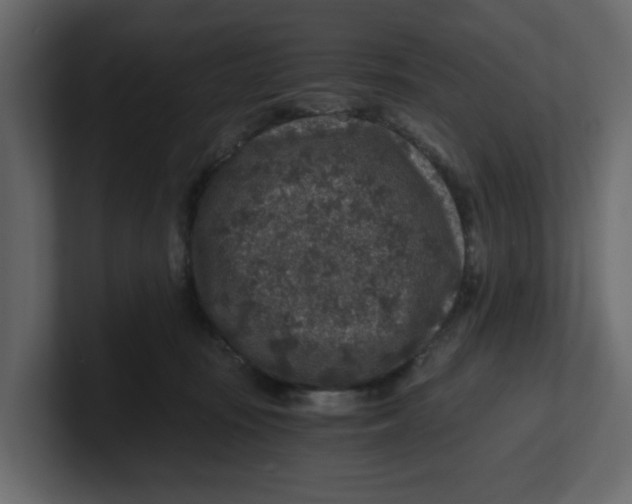 X0000100900371200807151123