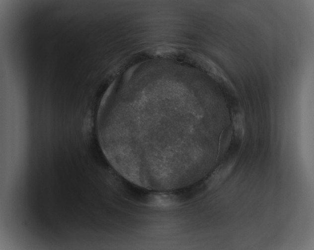 X0000100900372200807151123