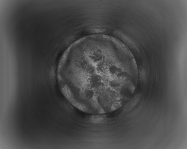 X0000100900373200807151123